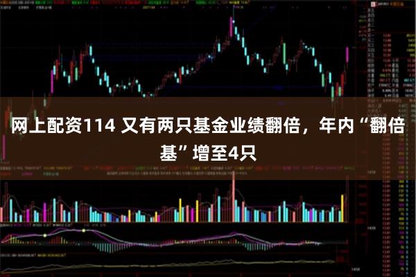 网上配资114 又有两只基金业绩翻倍，年内“翻倍基”增至4只